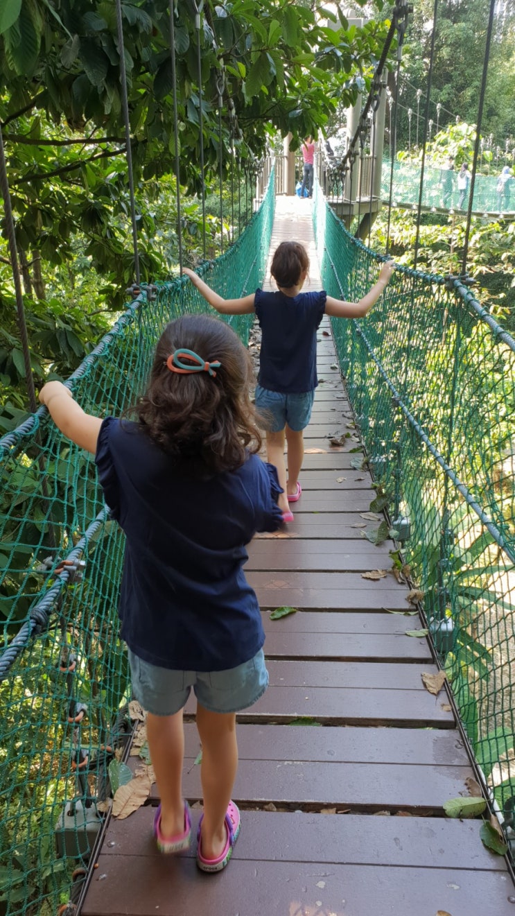 @초딩두딸과5개국12도시배낭여행@쿠알라룸푸르-메르데카광장/KL Forest Eco Park