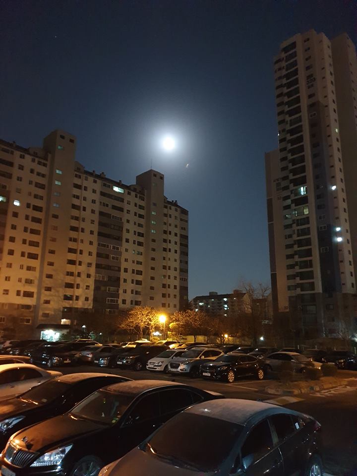  2019.01.22 새벽.