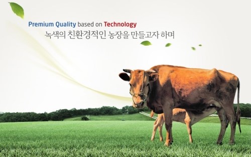  제일바이오 주가, 구제역 수혜주 급등