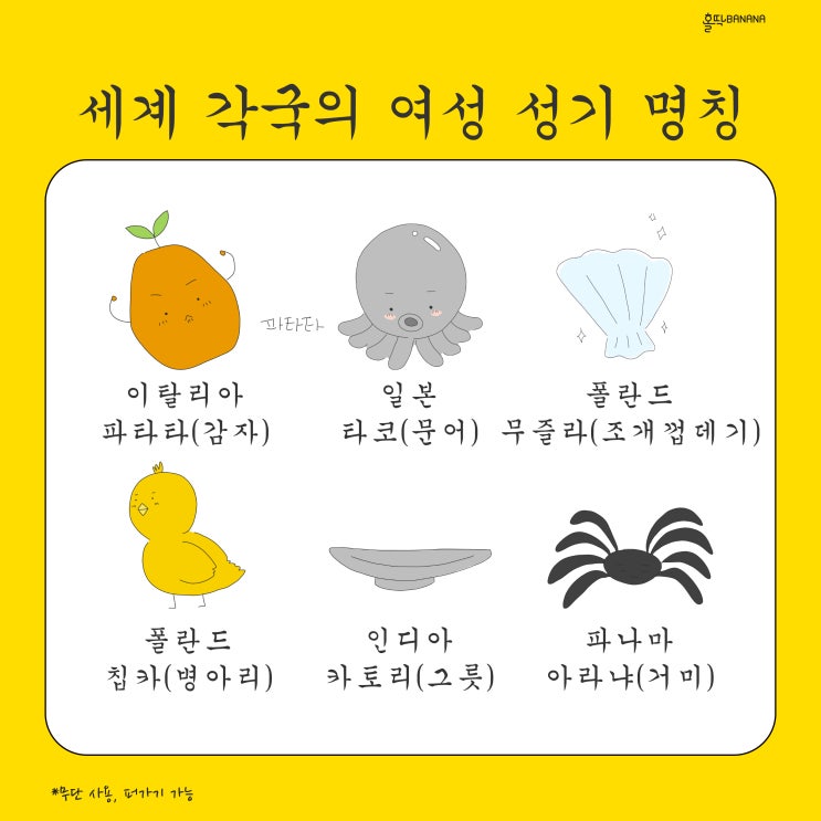  [홀딱바나나] 세계 여성 성기 명칭