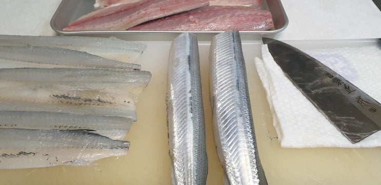  2019년 1월 학꽁치 이야기