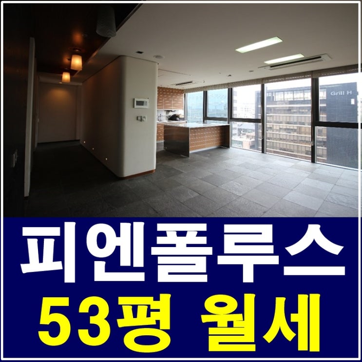 청담동 피엔폴루스 월세 vip를 위한 공간 !