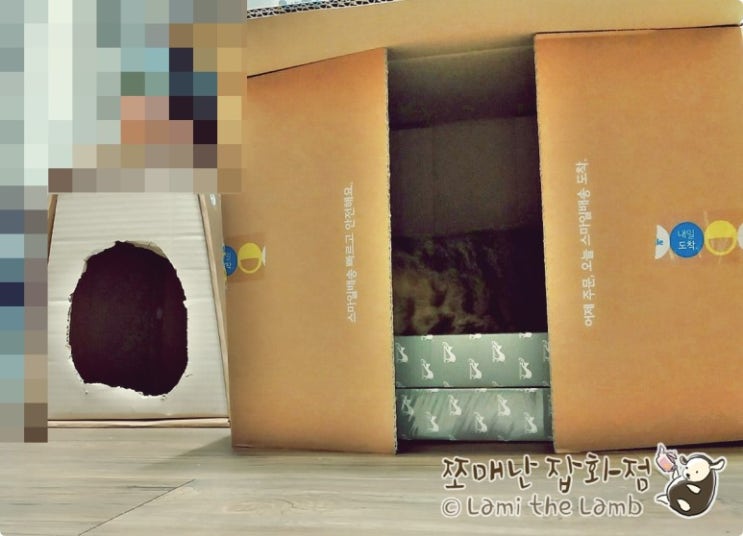  스크래쳐와 박스로 고양이 숨숨집 만들기