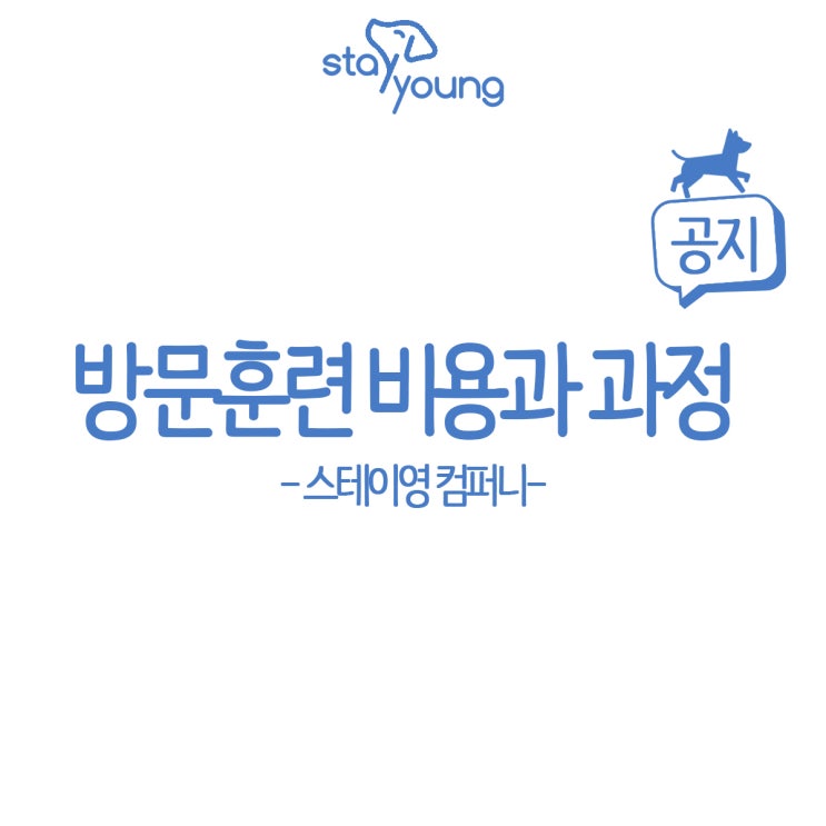  강아지 방문훈련 비용과 과정에 대한 모든 것