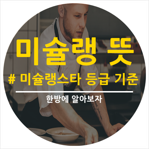  미슐랭 뜻 유래 스타 등급 기준 총정리!