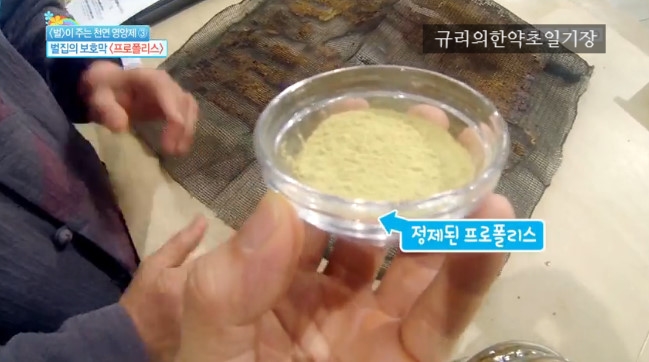  구내염 목 면역력에좋은영양제 프로폴리스 효능 효과 복용법