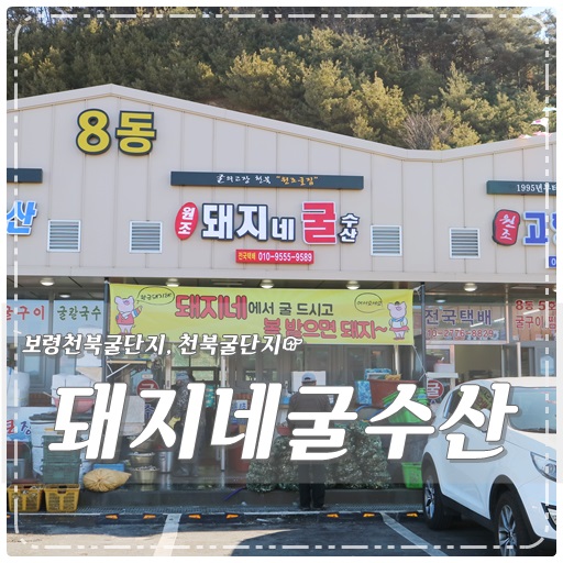  보령천북굴단지 돼지네굴구이수산 역시 굴은 천북굴단지 JMT