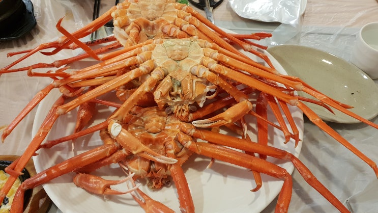  인천 맛집/황제조개찜붉은대게무한리필-생생정보통 출연&대박친절