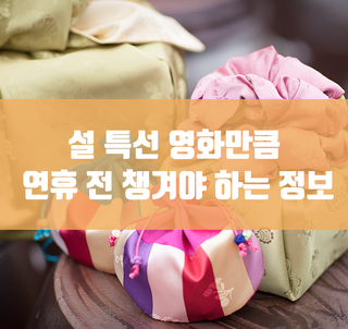  설 연휴 전 꼭 챙겨야하는 정보 5가지(교통/이벤트/진료병원/여행 등)