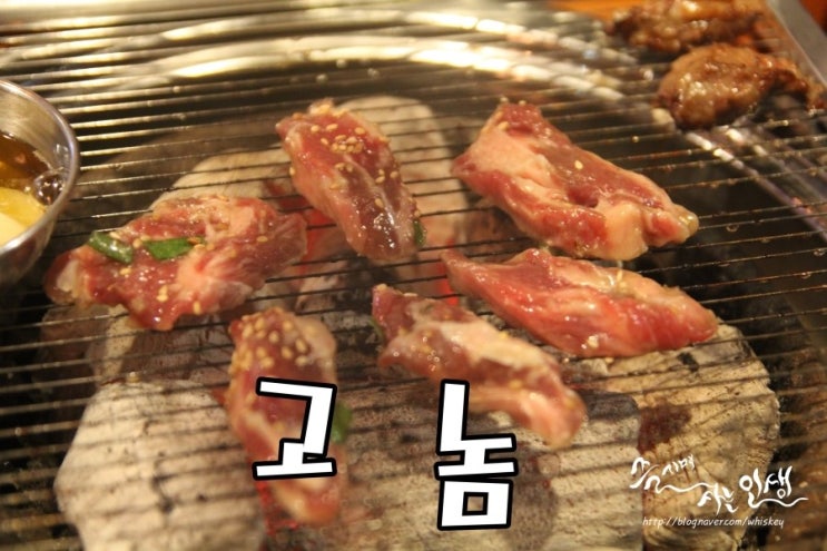  [건대 고기 맛집]  건대 고기집 고놈