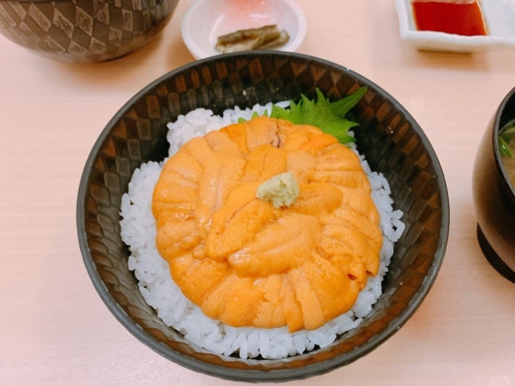  [삿포로 여행] 4. 삿포로 맛집, 우니 무라카미(Uni Murakami) - 말이 필요 없는 궁극의 우니동...