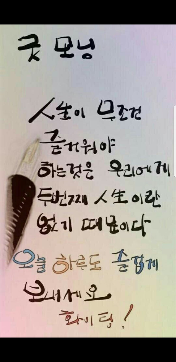  윤식당 닭강정
