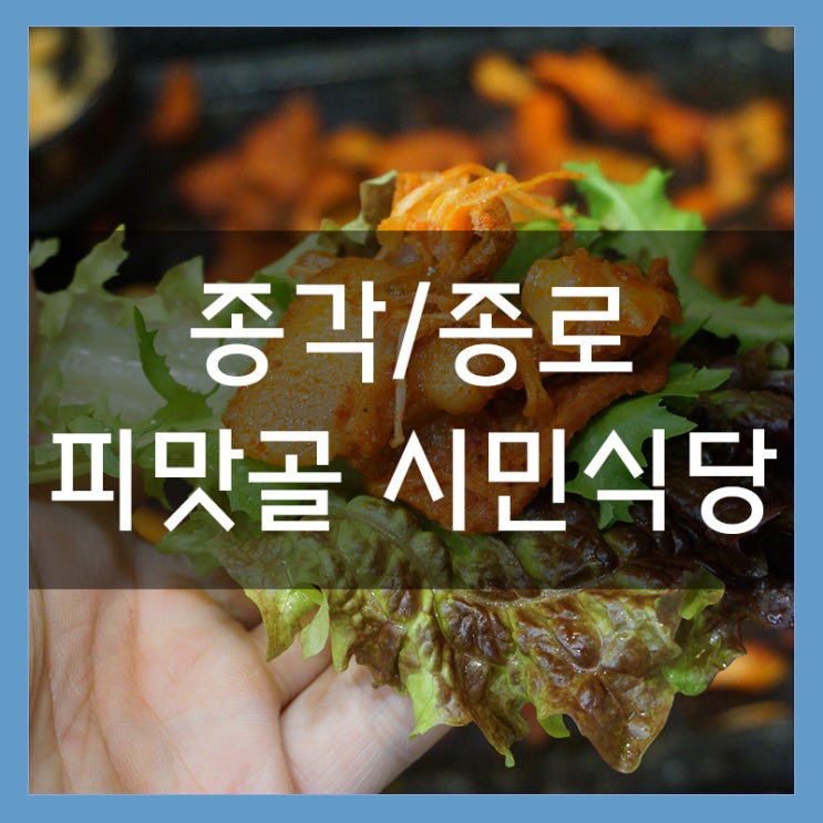 피맛골 시민식당 2호점 종로 회식은 여기서!! 제육 쌈밥정식 존맛탱