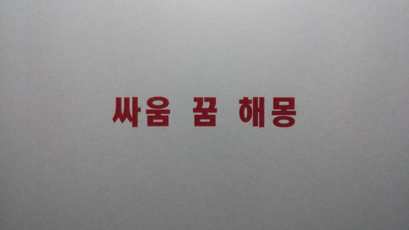 싸움 꿈해몽 싸움하는 꿈 싸움구경꿈 싸움 말리는 꿈