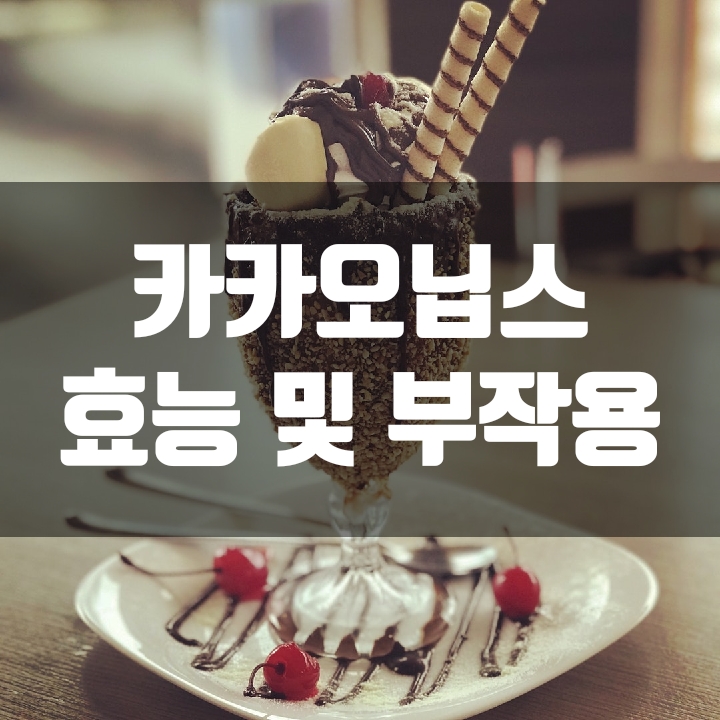  카카오닙스 효능과 부작용