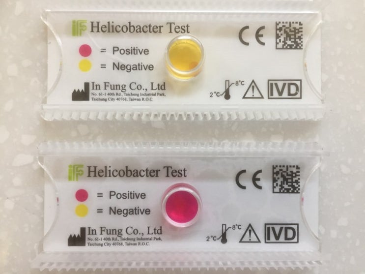  헬리코박터 파일로리(Helicobacter pylori)에 대한 궁금증들