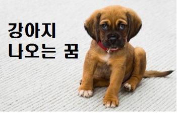  강아지 나오는 꿈 강아지가 말하는꿈 해몽 