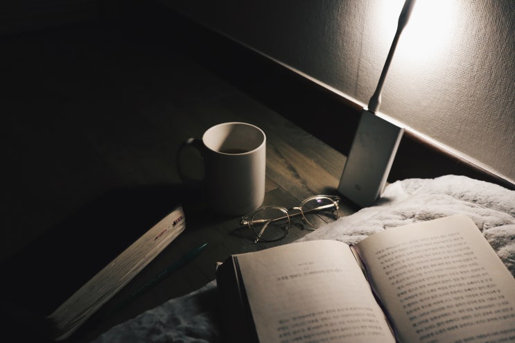  Reading Night
