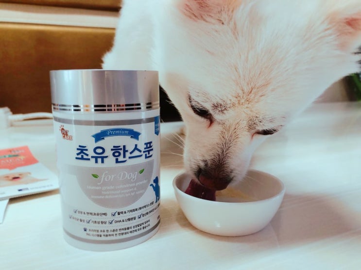  강아지 면역력증진 강아지 영양제 펫케어 초유한스푼 ! 강아지 초유간식 , 강아지항생제 처방 후 이제 파우더로 급여하세요!