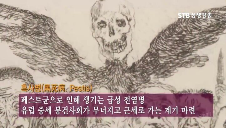  인류문명의 대전환을 가져다준 질병대란- 흑사병1