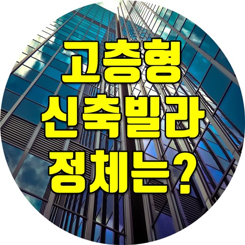  역세권 고층신축빌라의 정체는?