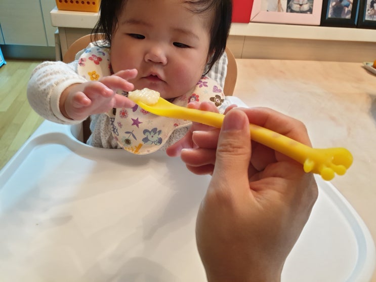  중기이유식 밥솥 중기이유식 시기 나한테맞는 방법 찾는중 찹쌀 닭고기 당근죽 소고기 애호박죽