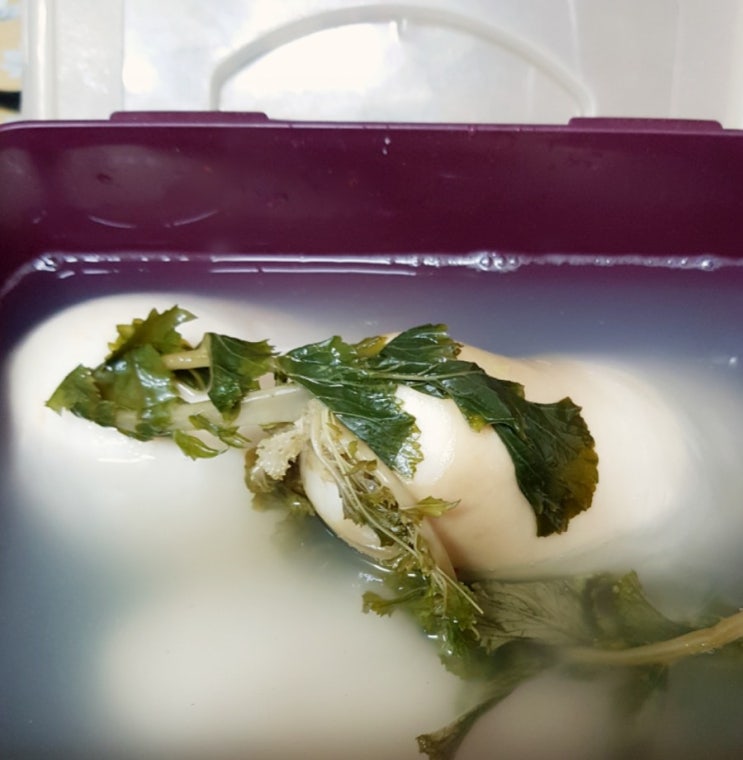  이미자새벽김치 동치미 대박 맛있어!