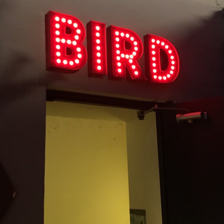  대구 동성로 / 버드 (BIRD)