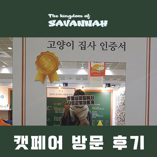  [1월 케이캣페어방문후기] 궁디팡팡에 이어 코엑스 캣페어 :)