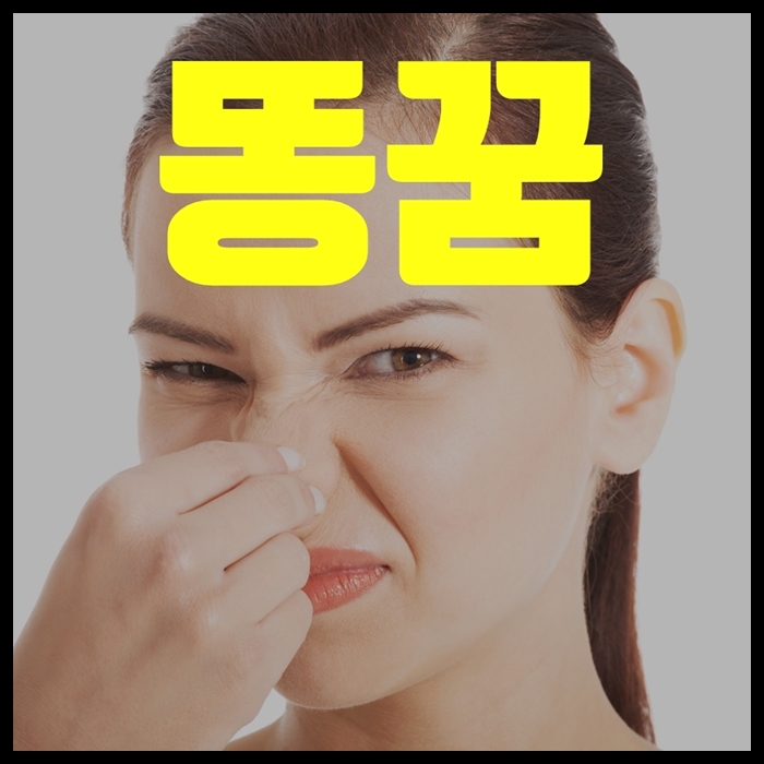  똥꿈 똥물에빠지는꿈 해몽 신기해