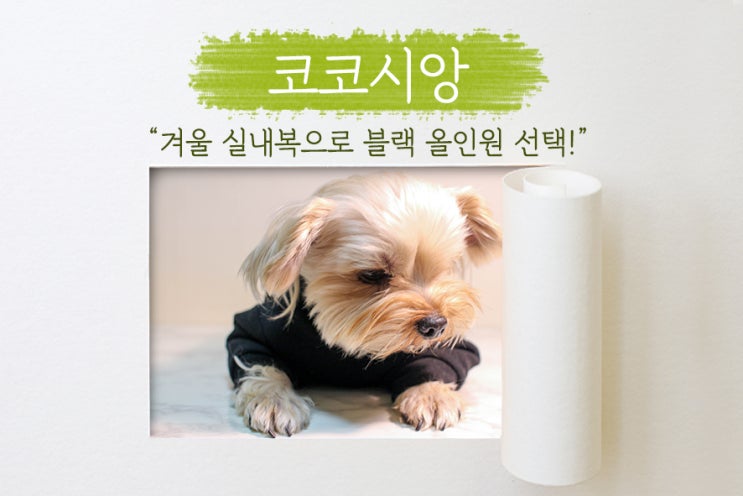  [ 코코시앙 ] 귀여운 강아지옷, 애견의류, 강아지 용품을 판매하는 곳! 실내복으로 구입한 핸드메이드 블랙 올인원!