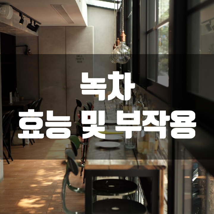  신경안정에 도움을 주는 녹차 효능 및 부작용