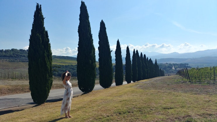 렌트카로 떠나는 이탈리아 신혼여행 #산퀴리코도르차(4)