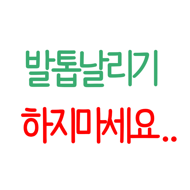  강아지 발톱날리기.. 하지 않으셔도 됩니다.