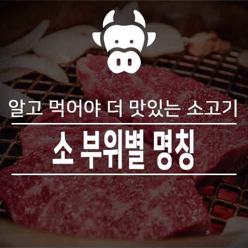  [디에스 푸드몰] 소 부위별 명칭