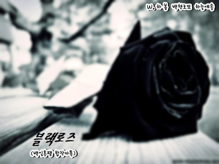  [엑소끼리 카톡하기] 블랙로즈 07.