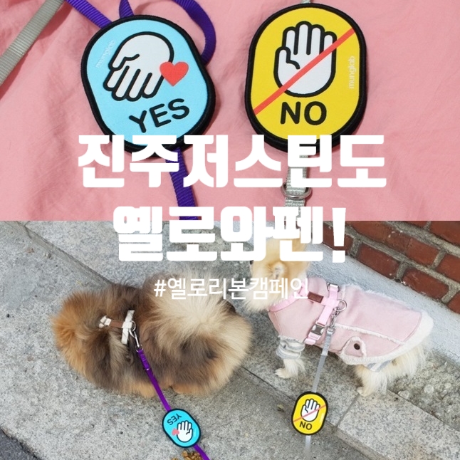  진주와 저스틴도 노란리본캠페인 동참했어요~