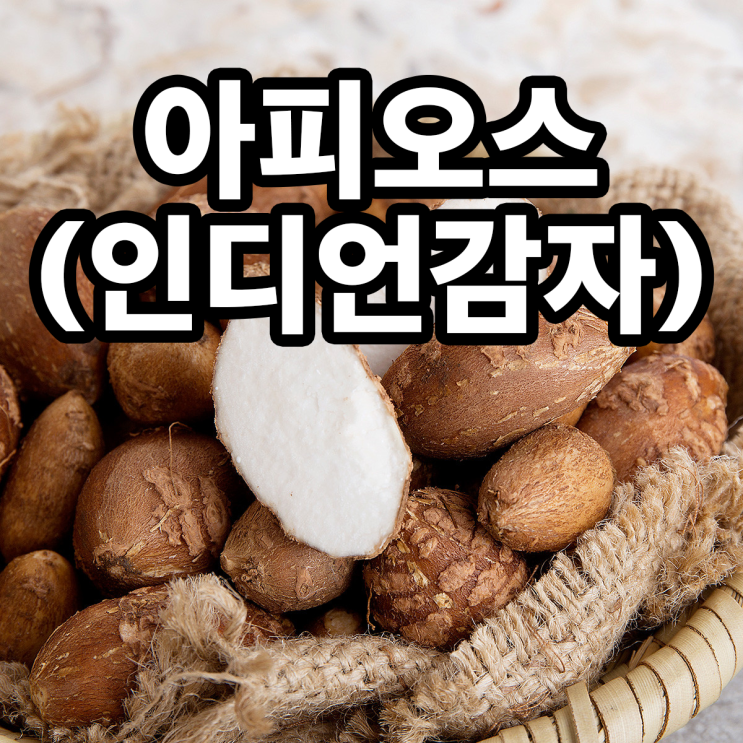  인디언감자 아피오스 효능 알고 먹으면 더 좋아~!