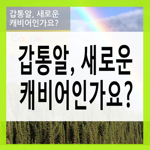 갑통알, 새로운 캐비어인가요?