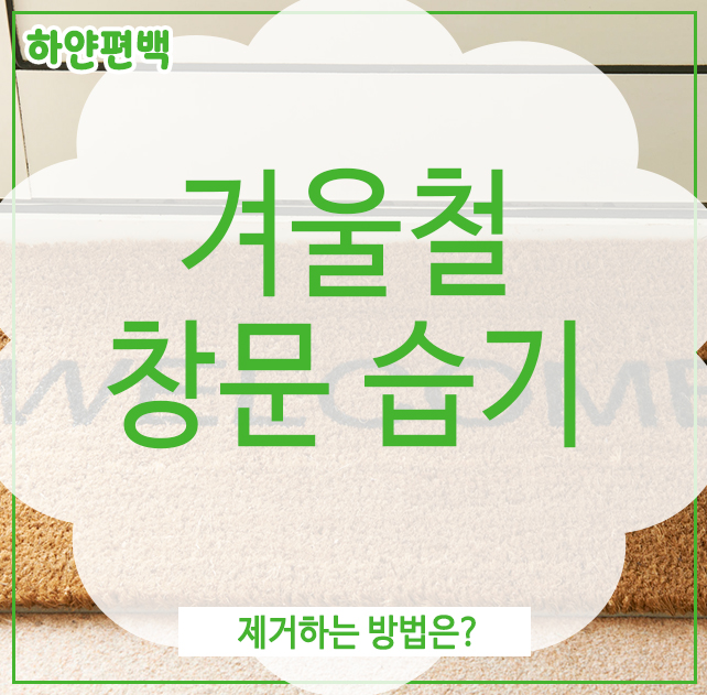  겨울철 창문 습기, 제거하는 방법은?