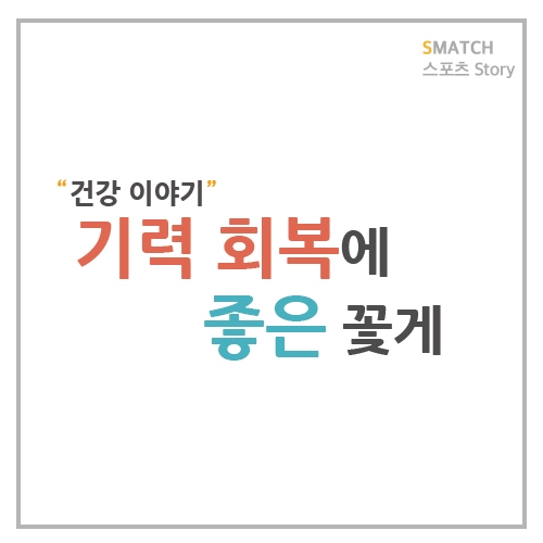  겨울철 보양식 기력 회복에 좋은 꽃게