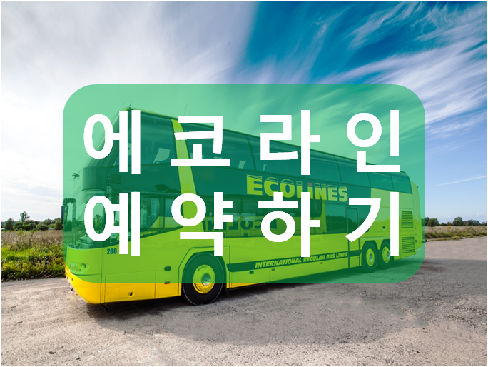 빌뉴스 리가 탈린 에코라인(Ecoline) 교통 버스 할인적용 예약방법
