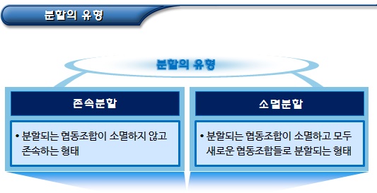 협동조합 분할의 유형, 절차 및 효과