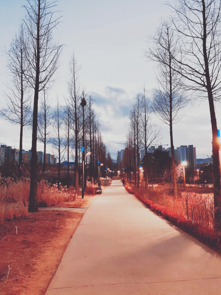 항동철길과 분위기 있는 겨울 저녁의 푸른수목원