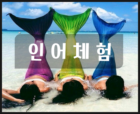  인어가 되어보아요! 필리핀 세부에서는 가능한 일!