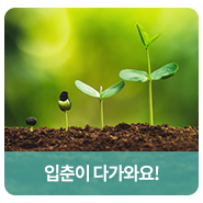  24절기 중, 첫 번째 절기인 입춘이 다가와요!