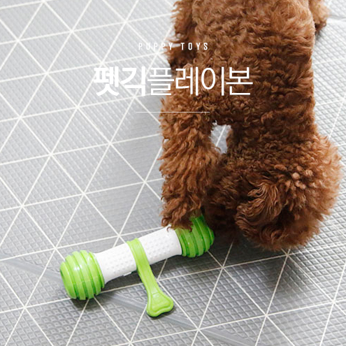  움직이는 강아지 장난감 펫긱 플레이본 완전 꿀템