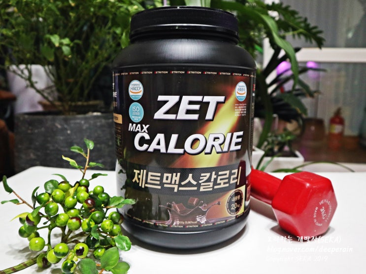  살찌는 보충제 게이너 추천 ) 제트맥스 칼로리. 프로틴, 단백질 보충제로 안 붙는 근육. 탄수화물 보충제로!