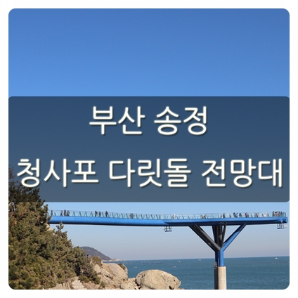 부산 청사포 다릿돌 전망대 송정해수욕장 구경도 덤!