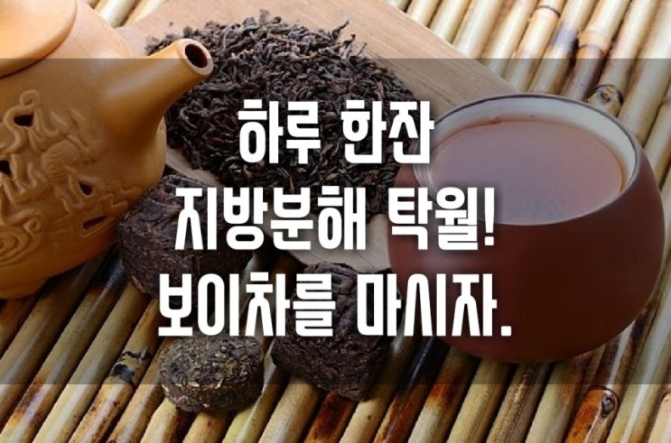  보이차를 마시자. 지방분해 효과 탁월. 저도 마시고 있어요 :)